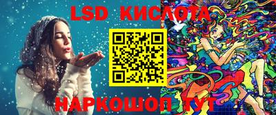 гашик Будённовск