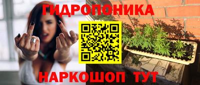 гашик Будённовск