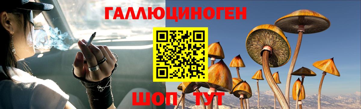 Аксай  Галлюциногенные грибы Cubensis  Вход с VPN 