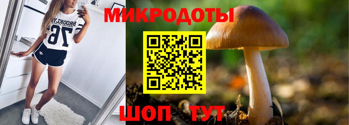 Галлюциногенные грибы Cubensis Аксай